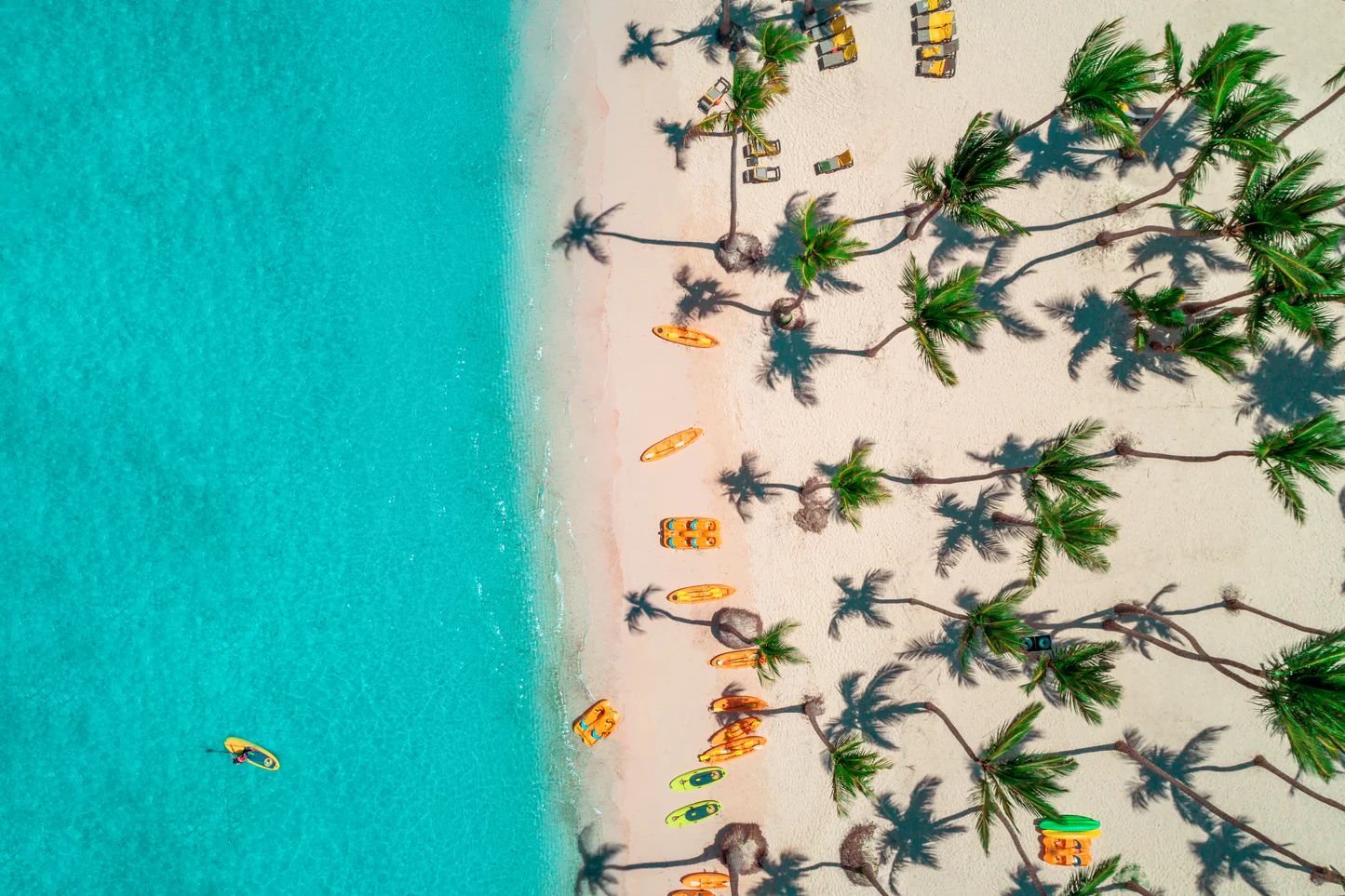 5 day vacation